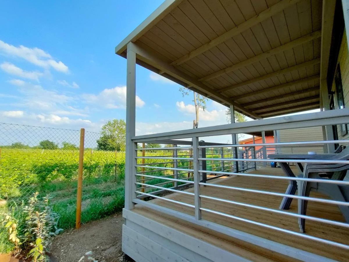 Garda Di Vino Agricamping & Wine Shop Lazise Ronchi  ภายนอก รูปภาพ